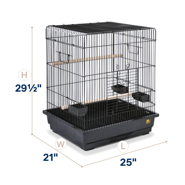 Medium sized parrot deals cage